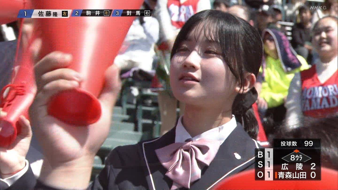 甲子園アルプススタンドの妖精たち
